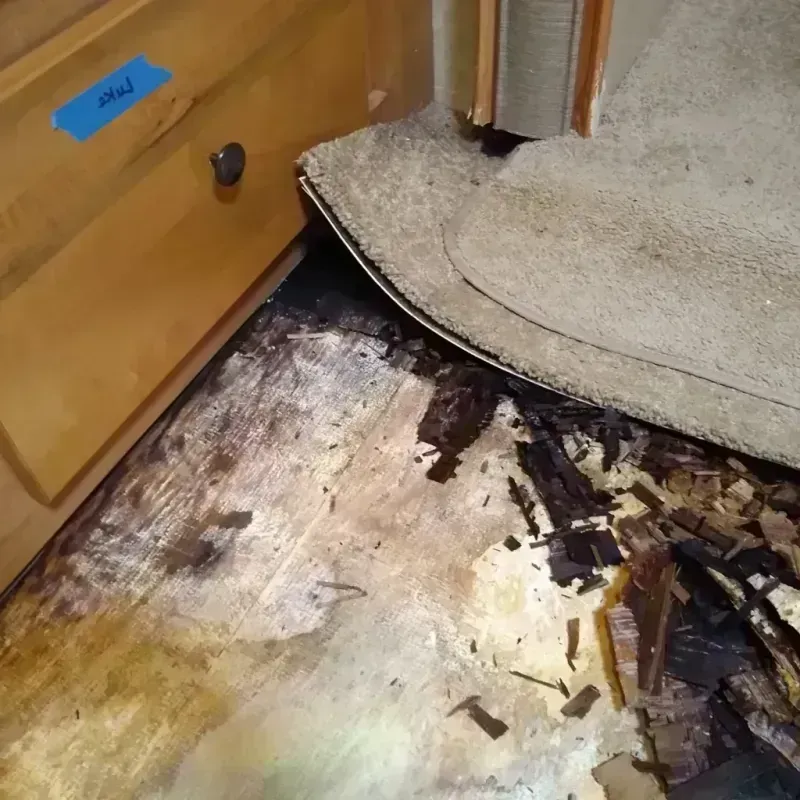 Wood Floor Water Damage in Paramount-Long Meadow, MD